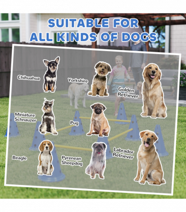 PawHut Dog Agility Equipment Set, Four-Piece Adjustable Height Jumping