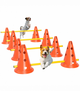 PawHut Dog Agility Equipment Set, Four-Piece Adjustable Height Jumping