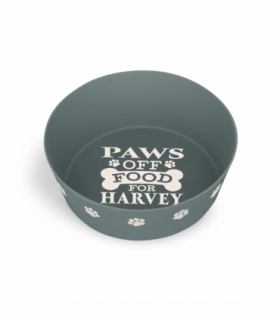 Pre-personalised Recycled Dog Bowl - Harvey
