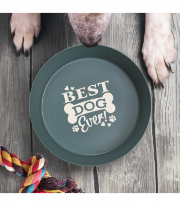 Pre-personalised Recycled Dog Bowl - Best Dog Ever