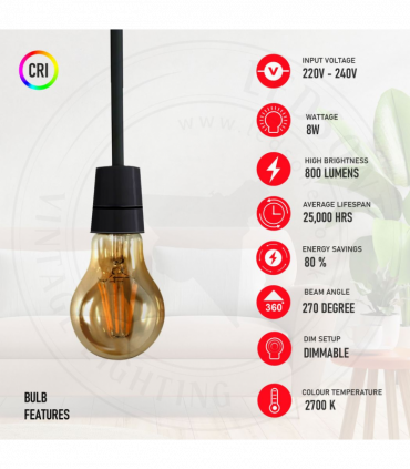 2 Pack A60 E27 8W Edison Style LED filament Retro Amber light bulb Warm white screw bulbs 2700K Light Bulbs
