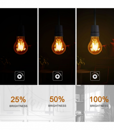 2 Pack A60 E27 8W Edison Style LED filament Retro Amber light bulb Warm white screw bulbs 2700K Light Bulbs