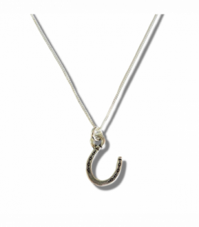 Horseshoe Silver Necklace
