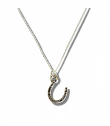 Horseshoe Silver Necklace