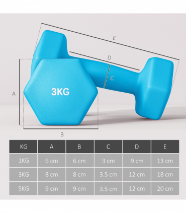 SPORTNOW Dumbbells Set with Storage Rack, 2 x 1kg, 2 x 3kg, 2 x 5kg, Pink