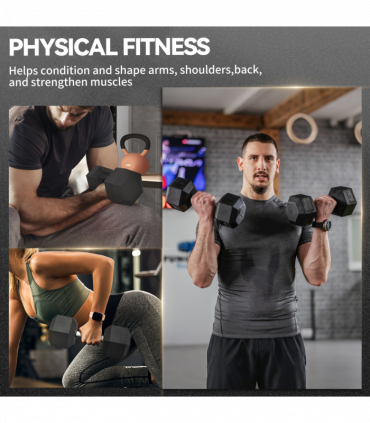 HOMCOM 30KG Rubber Hex Dumbbell Portable Hand Weights for Home Gym