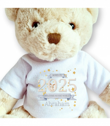 Personalised Welcome to the World 2025 Gift Hamper - Teddy & Baby Vest