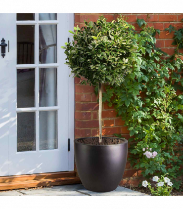 IDEALIST Lite 30cm Garden Planter | Washed Light Concrete Egg Round Planter | Contemporary Outdoor Plant Pot D30 H30 cm, 21L