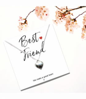 Best Friend Necklace & Card Gift