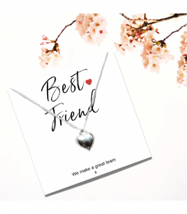 Best Friend Necklace & Card Gift