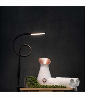 Lumina Desk Lamp - Black