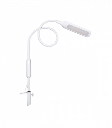 Lumina Desk Lamp - White