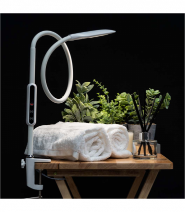 Lumina Desk Lamp - White