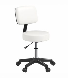 Swivel Salon Chair - Adjustable Height 43-55cm - Padded Seat Back 5 Wheels White