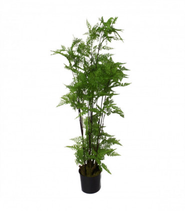 Artificial Fern
