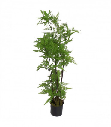Artificial Fern Plant