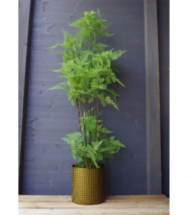 Artificial Fern Plant