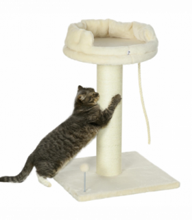 Cat Tree for Indoor Cats w/ Sisal Scratching Post, Spacious Kitten Bed - Cream