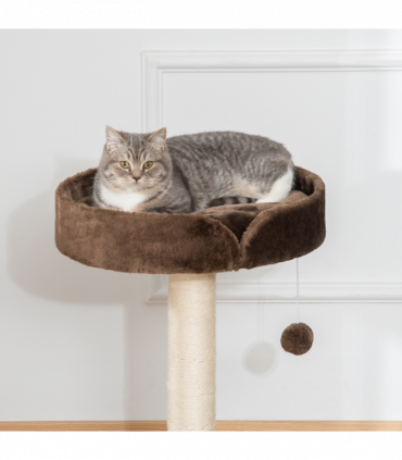 Small Cat Tree for Indoor Cats W/ Sisal Scratching Post Bed Cushion Toy Pawhut