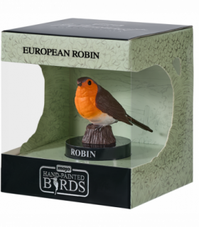 European Robin