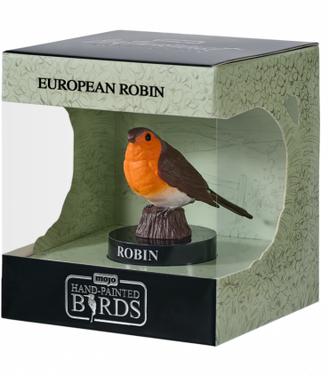 European Robin
