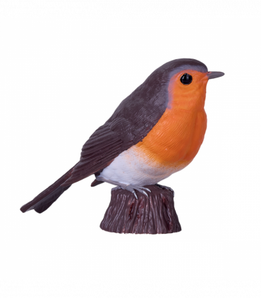 European Robin