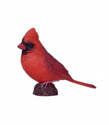Red Cardinal