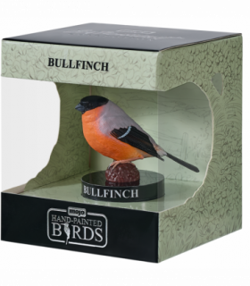 European Bullfinch