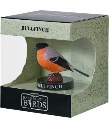 European Bullfinch