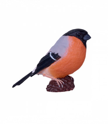 European Bullfinch
