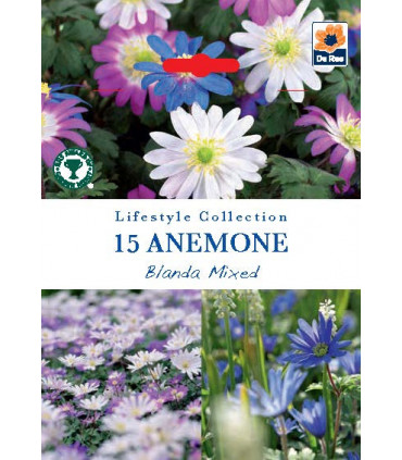 Anemone Blanda Mixed (15 Bulbs)