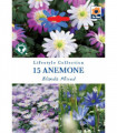 Anemone Blanda Mixed (15 Bulbs)