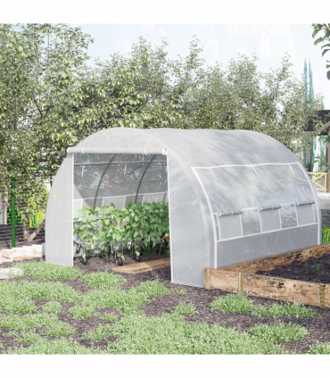 Polytunnel Greenhouse