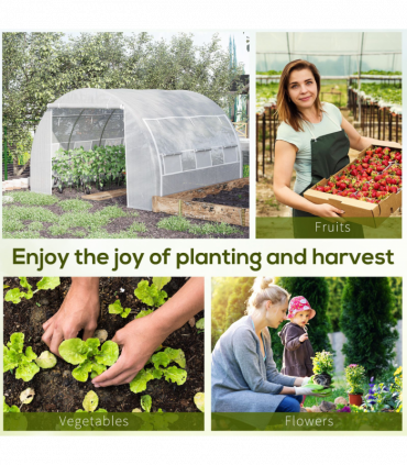 Polytunnel Greenhouse