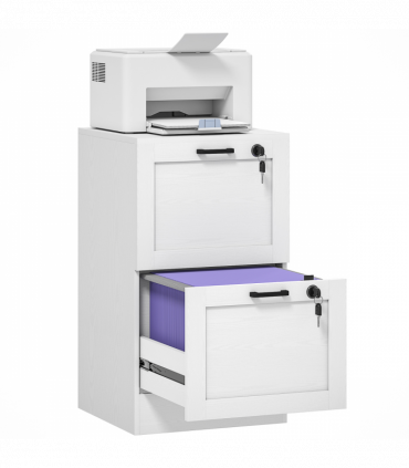 HOMCOM 2-Drawer File Cabinet, Lockable Filing Cabinet for A4 Letter, White