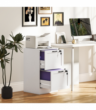 HOMCOM 2-Drawer File Cabinet, Lockable Filing Cabinet for A4 Letter, White