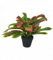 40cm Artificial Codiaeum Multicoloured House Plant