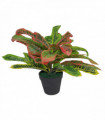 40cm Artificial Codiaeum Multicoloured House Plant