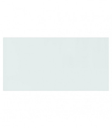 Fireplace Glass Plate Rectangular 100x50 cm