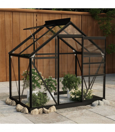 Glass Greenhouse Anthracite 155x103x191 cm Aluminium