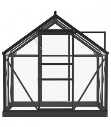 Glass Greenhouse Anthracite 155x103x191 cm Aluminium