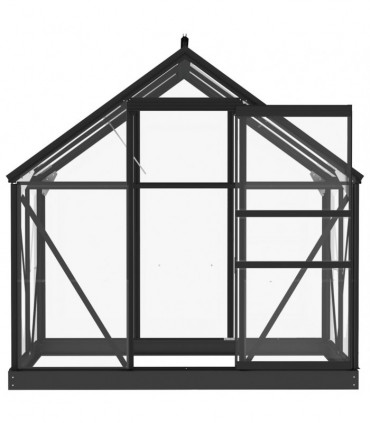 Glass Greenhouse Anthracite 155x103x191 cm Aluminium