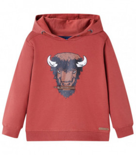 Kids' Hooded Sweatshirt Burnt Red 104
