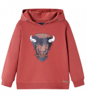 Kids' Hooded Sweatshirt Burnt Red 128