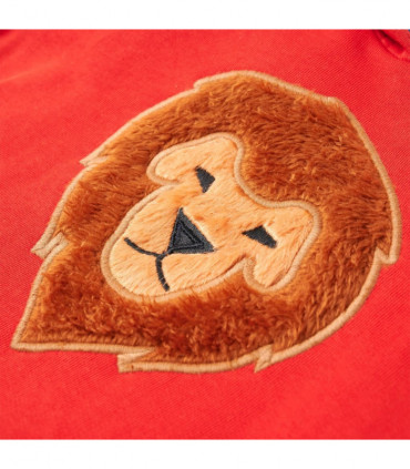 Kids' Hooded Sweatshirt Red 116