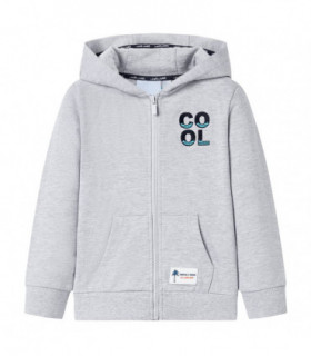 Kids' Hooded Sweatshirt with Zip Grey 92