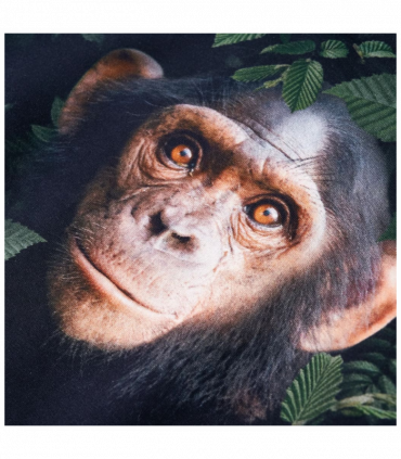 Kids' Sweatshirt Dark Khaki 104