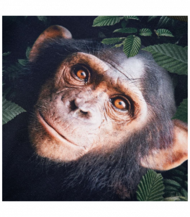 Kids' Sweatshirt Khaki 116