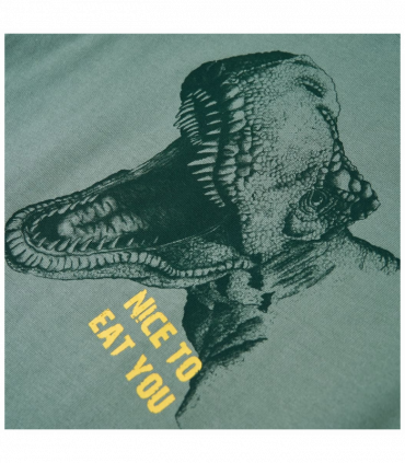 Kids' T-shirt Khaki 104