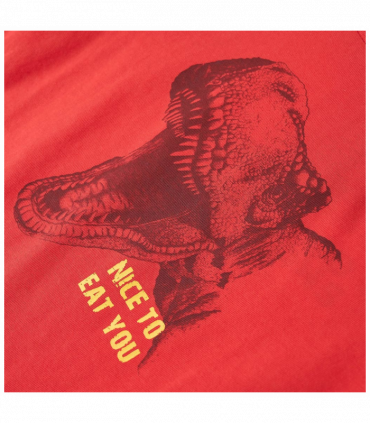 Kids' T-shirt Red 104